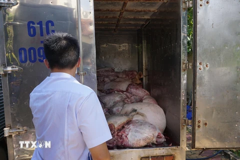 Cơ quan chức năng Bình Dương phát hiện gần 5 tấn thịt lợn bốc mùi hôi thối đang được vận chuyển đi tiêu thụ. (Ảnh: Dương Chí Tưởng/TTXVN)