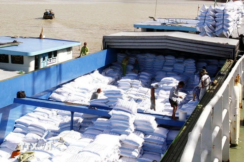 Việt Nam là một trong những quốc gia xuất khẩu gạo hàng đầu thế giới. (Nguồn: TTXVN)