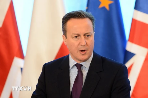 Thủ tướng Anh David Cameron. (Nguồn: AFP/TTXVN)