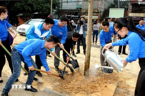 Các Đoàn viên Thanh niên tham gia Tết trồng cây. (Ảnh: Phạm Kiên/TTXVN)