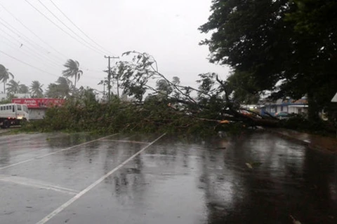 Siêu bão Winston đã tàn phá quốc đảo Fiji vào cuối ngày 20/2. (Nguồn: AP)