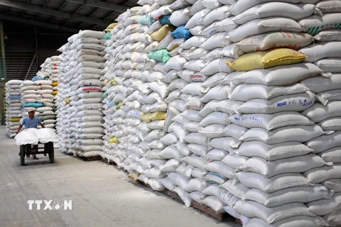 Kho gạo xuất khẩu của Công ty Lương thực Đồng Tháp. (Ảnh: Đình Huệ/TTXVN)