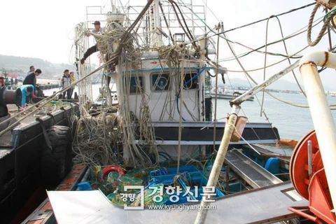 Tàu cá gặp nạn được lai dắt về tới cảng trên Vịnh Yeongil, thành phố Pohang. (Nguồn: Thời báo Kyunghyang)