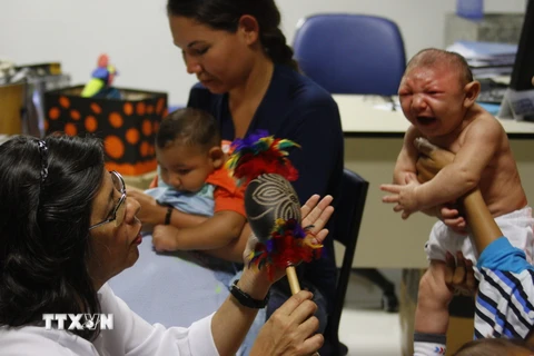 Trẻ em bị mắc chứng bệnh đầu nhỏ do nhiễm virus Zika được điều trị tại Trung tâm phục hồi chức năng ở Recife, Brazil ngày 25/2. (Nguồn: THX/TTXVN)