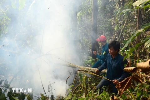 Các lực lượng khẩn trương dập lửa vụ cháy rừng Nà Tấu, Điện Biên. (Ảnh: Quốc Hùng/TTXVN)
