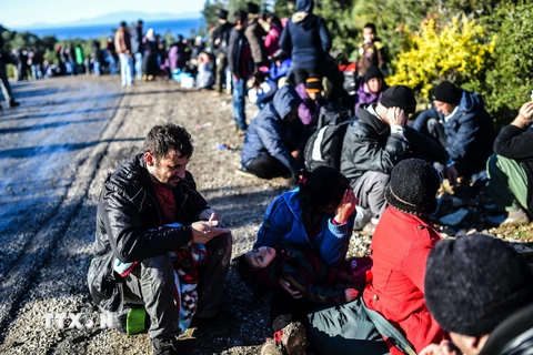 Người tị nạn Syria đến đảo Lesbos, Hy Lạp từ Dikili, miền Tây Thổ Nhĩ Kỳ, ngày 5/3. (Nguồn: AFP/TTXVN)