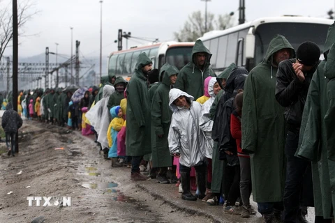 Người di cư xếp hàng chờ nhận thức ăn tại trại tị nạn ở Idomeni, biên giới Hy Lạp- Macedonia ngày 10/3. (Nguồn: AFP/TTXVN)