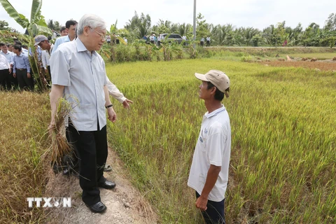 Tổng Bí thư Nguyễn Phú Trọng thăm hỏi nông dân trên cánh đồng lúa bị xâm nhập mặn ở xã Tân Thanh , huyện Giồng Chôm. (Ảnh: Trí Dũng/TTXVN)