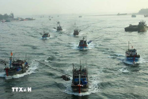 Tàu cá Việt Nam vươn khơi bám biển. Ảnh minh họa. (Nguồn: TTXVN)