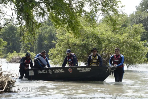 Cảnh sát Mexico tìm kiếm sinh viên mất tích trên sông Cocula, bang Guerrero, Mexico ngày 29/10/2014. (Nguồn: AFP/TTXVN)