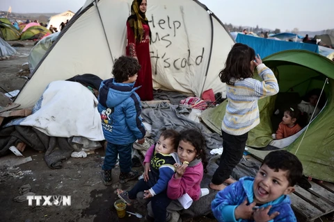 Người tị nạn ở trong những khu lều tạm tại Idomeni, biên giới Hy Lạp- Macedonia ngày 19/3. (Nguồn: AFP/TTXVN)