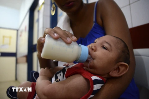 Một em bé bị mắc chứng đầu nhỏ ở bệnh viện Oswaldo Cruz ở Cabo de Santo Agostinho, Brazil. (Nguồn: THX/TTXVN)