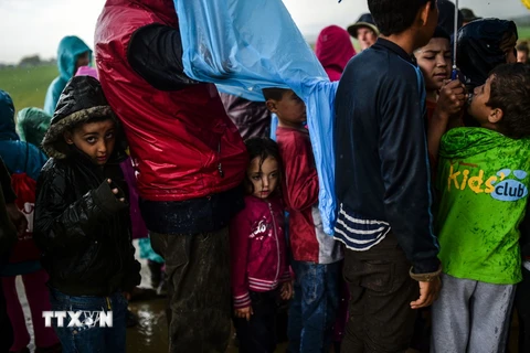 Người di cư xếp hàng nhận lương thực tại trại tị nạn ở phía bắc làng Idomeni, Hy Lạp ngày 9/4. (Nguồn: AFP/TTXVN)