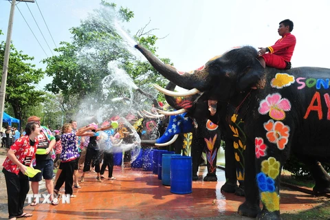 Những chú voi phun nước đón khách du lịch nhân dịp lễ Songkran ở tỉnh Ayutthaya, Thái Lan ngày 10/4. (Nguồn: THX/TTXVN)