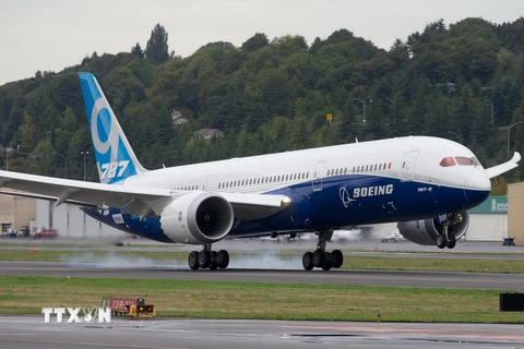 Máy bay 787-9 Dreamliner. (Nguồn: AFP/TTXVN)
