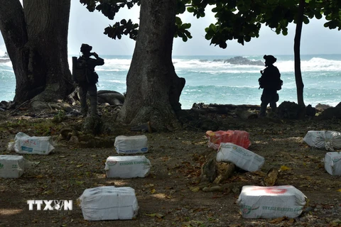 Cảnh sát Colombia gác bên số ma túy vừa thu giữ tại Acandi. (Nguồn: AFP/TTXVN)
