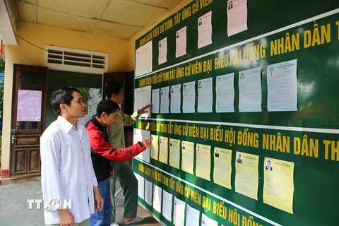 Cử tri huyện Hương Trà, Thừa Thiên-Huế tìm hiểu các ứng cử viên tại một điểm niêm yết công khai. (Ảnh: Hồ Cầu/TTXVN)