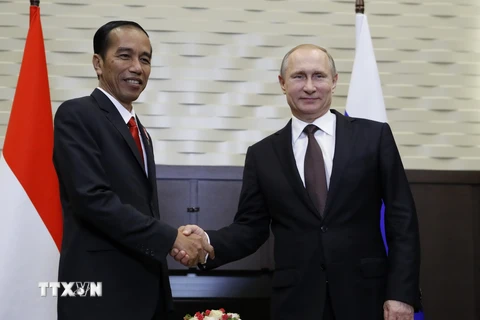 Tổng thống Nga Vladimir Putin (phải) và người đồng cấp Indonesia Joko Widodo trong cuộc gặp ở Sochi (Nga) ngày 18/5. (Nguồn: EPA/TTXVN)