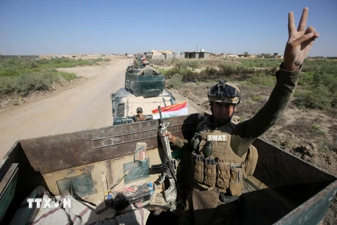 Lực lượng ủng hộ Chính phủ Iraq vui mừng sau khi giành lại quyền kiểm soát làng al-Sejar, đông bắc Fallujah ngày 26/5. (Nguồn: AFP/TTXVN)