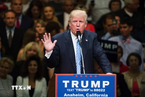Ứng cử viên Tổng thống Mỹ Donald Trump. (Nguồn: AFP/TTXVN) 