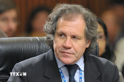 Tổng thư ký OAS Luis Almagro. (Nguồn: AFP/TTXVN)