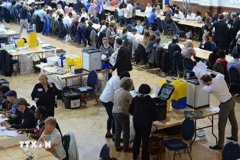 Cơ quan chức năng kiểm phiếu trưng cầu ý dân ở London ngày 24/6. (Nguồn: EPA/TTXVN)