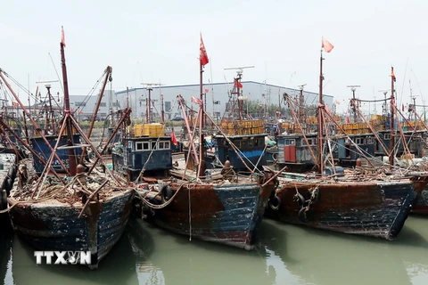 Tàu cá Trung Quốc neo tại cảng Manseok, Incheon sau khi bị Hàn Quốc bắt giữ vì hoạt động trái phép. (Nguồn: Yonhap/TTXVN)