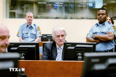 Tòa án ICTY kết án cựu thủ lĩnh người Serbia tại Bosnia Radovan Karadzic 40 năm tù giam. (Nguồn: AFP/TTXVN)