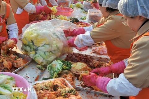 Phụ nữ Hàn Quốc làm món Kimchi. (Nguồn: THX/TTXVN) 