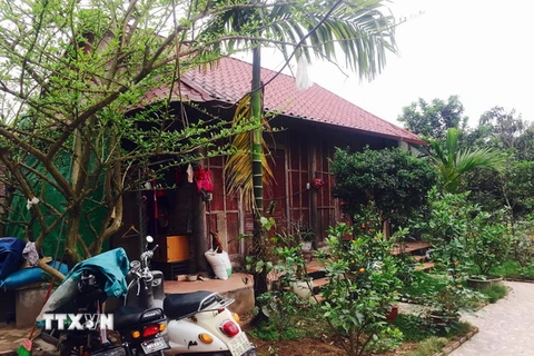 Một hộ gia đình dựng nhà cửa trên đất nông nghiệp, đất công ích của Nhà nước bất hợp pháp tại phường Ngọc Thụy, Long Biên, Hà Nội. (Ảnh: Nguyễn Văn Thắng/TTXVN)