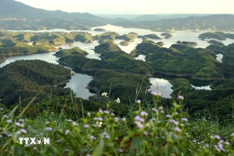 [Photo] Tà Đùng - Phiên bản "Hạ Long" kỳ vĩ giữa rừng Tây Nguyên