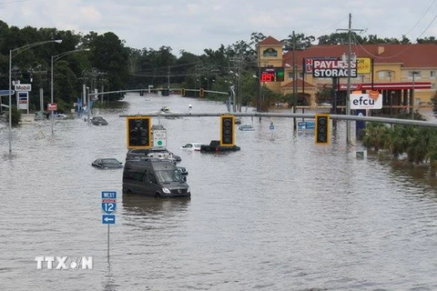 Cảnh ngập lụt tại Baton Rouge, bang Louisiana ngày 15/8. (Nguồn: EPA/TTXVN)