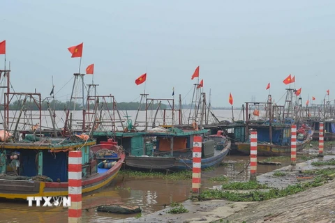 Tàu thuyền của ngư dân về neo đậu tránh bão số 3 tại Khu neo đậu tàu thuyền xã Thái Đô, huyện Thái Thụy. (Ảnh: Thu Hoài/TTXVN)