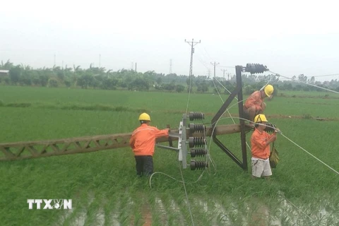 (Ảnh: Mai Ngoan-Tuấn Dương/TTXVN)