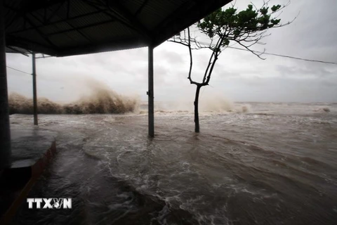 Nước biển dâng cao gây ngập tại thị xã Quất Lâm, huyện Giao Thủy. (Ảnh: Trọng Đạt/TTXVN)
