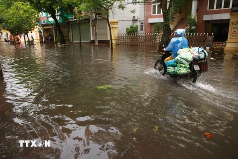  Tình trạng ngập úng tại phố Minh Khai, Hải Phòng sau cơn mưa lớn. Ảnh minh họa. (Nguồn: Lâm Khánh/TTXVN)