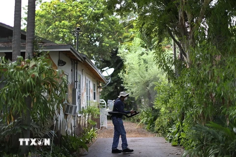 Phun thuốc diệt muỗi nhằm ngăn chặn sự lây lan của virus Zika tại Miami, Florida. (Nguồn: AFP/TTXVN)