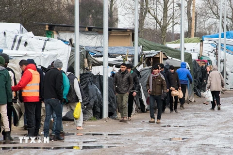 Người di cư tại trại tị nạn tạm Jungle ở Calais, miền bắc Pháp ngày 25/2. (Nguồn: AFP/TTXVN)