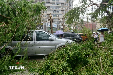 Cảnh đổ nát tại thành phố Hạ Môn, tỉnh Phúc Kiến sau khi bão Mertanti tràn qua. (Nguồn: AFP/TTXVN)