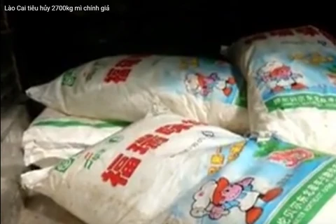 [Video] Lào Cai bắt giữ và tiêu hủy gần 3 tấn mì chính giả