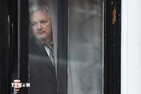 Ông Julian Assange tại Đại sứ quán Ecuador ở London, Anh ngày 5/2/2016. (Nguồn: AFP/TTXVN)