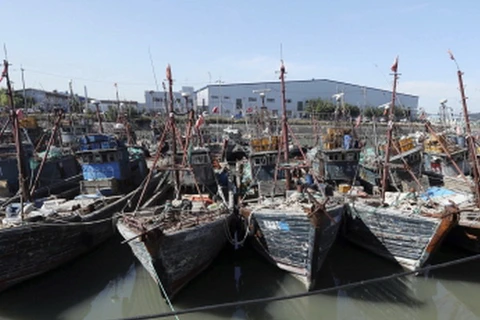 Các tàu cá Trung Quốc đánh bắt trái phép tại vùng Đặc quyền kinh tế của Hàn Quốc hôm 10/10 bị kéo về cảng Incheon, Hàn Quốc. (Nguồn: AP)