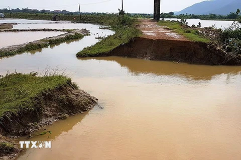 Tuyến đê ngăn mặn tại xã Bắc Trạch (huyện Bố Trạch, tỉnh Quảng Bình) bị vỡ tràn tại vị trí cống 4 cửa xã Bắc Trạch. (Ảnh: Võ Dung/TTXVN)