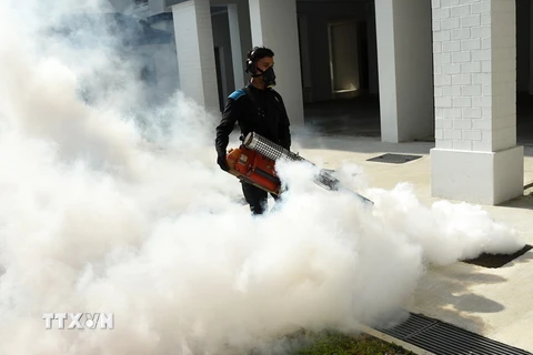 Phun thuốc khử trung nhằm ngăn chặn sự lây lan của virus Zika tại Singapore. (Nguồn: AFP/TTXVN)