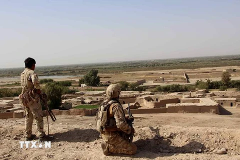 Binh sỹ Afghanistan trong chiến dịch quân sự truy quét phiến quân Taliban tại Helmand. (Nguồn: AFP/TTXVN)