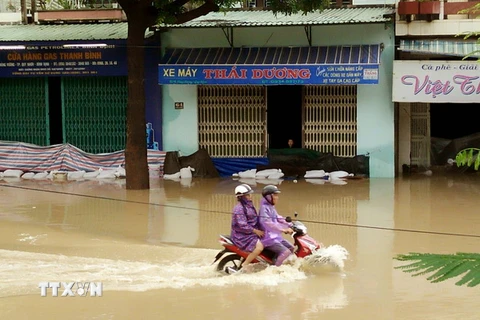 Ngập lụt tại thành phố Quy Nhơn, Bình Định. (Ảnh: Nguyên Linh/TTXVN) 
