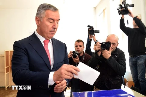 Thủ tướng Montenegro Milo Djukanovic bỏ phiếu tại một điểm bầu cử ở Podgorica ngày 16/10. (Nguồn: EPA/TTXVN)