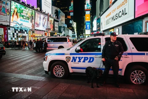 Cảnh sát Mỹ tuần tra tại thành phố New York. Ảnh minh họa. (Nguồn: EPA/TTXVN)