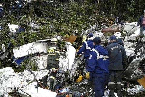 Lực lượng cứu hộ làm nhiệm vụ tại hiện trường vụ rơi máy bay. (Nguồn: AP/TTXVN)