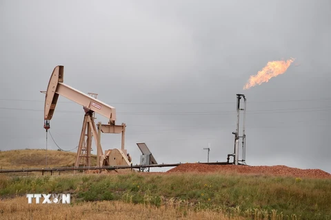 Máy bơm dầu ở Williston, Bắc Dakota, Mỹ. (Nguồn: AFP/TTXVN)